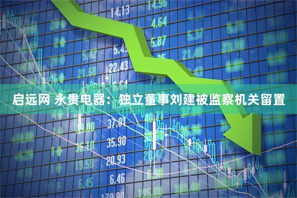 启远网 永贵电器：独立董事刘建被监察机关留置