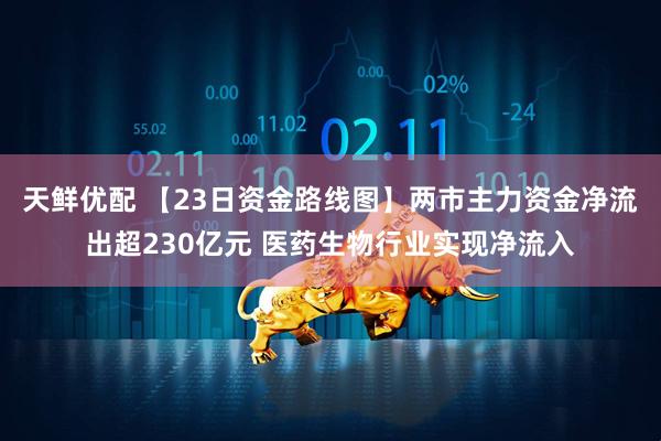 天鲜优配 【23日资金路线图】两市主力资金净流出超230亿元 医药生物行业实现净流入