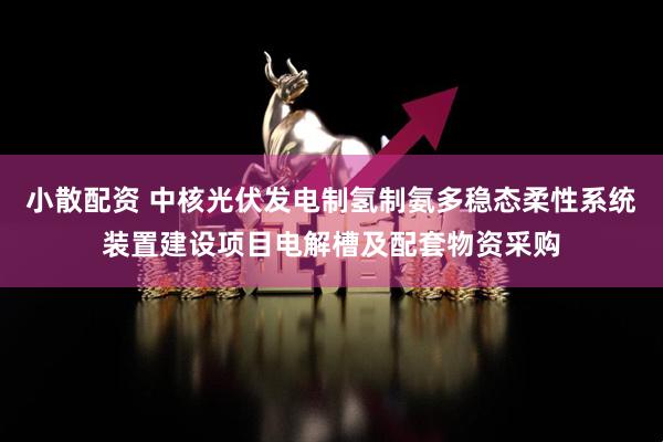 小散配资 中核光伏发电制氢制氨多稳态柔性系统装置建设项目电解槽及配套物资采购