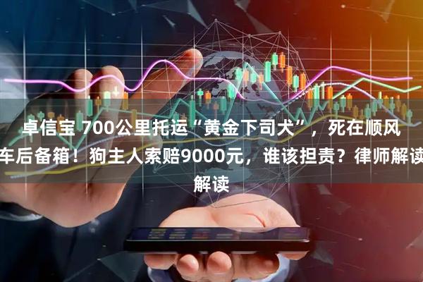 卓信宝 700公里托运“黄金下司犬”，死在顺风车后备箱！狗主人索赔9000元，谁该担责？律师解读