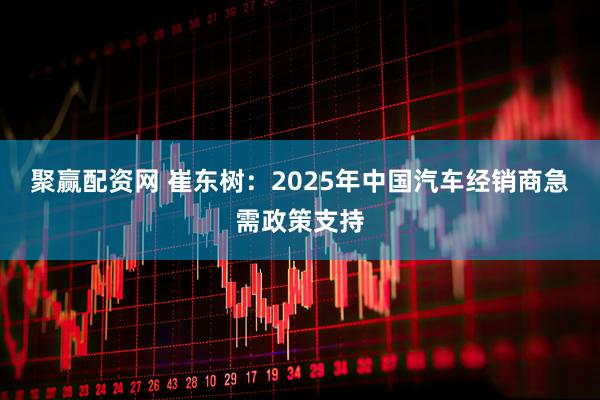 聚赢配资网 崔东树：2025年中国汽车经销商急需政策支持