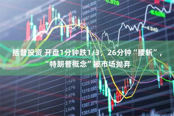 括普投资 开盘1分钟跌1/3,26分钟“腰斩”,“特朗普概念”被市场抛弃