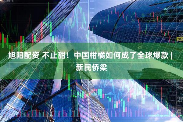 旭阳配资 不止甜!中国柑橘如何成了全球爆款 | 新民侨梁