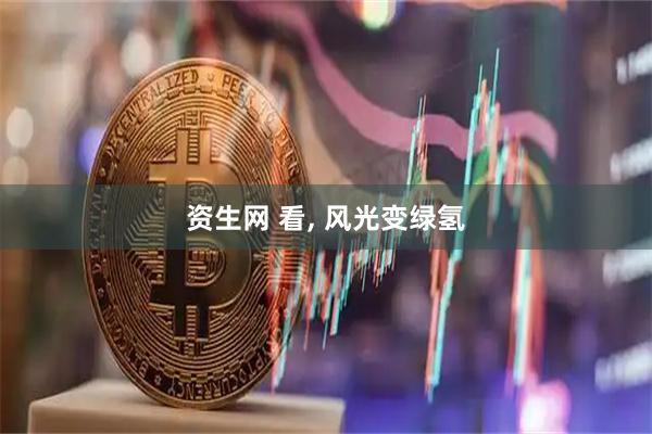 资生网 看, 风光变绿氢